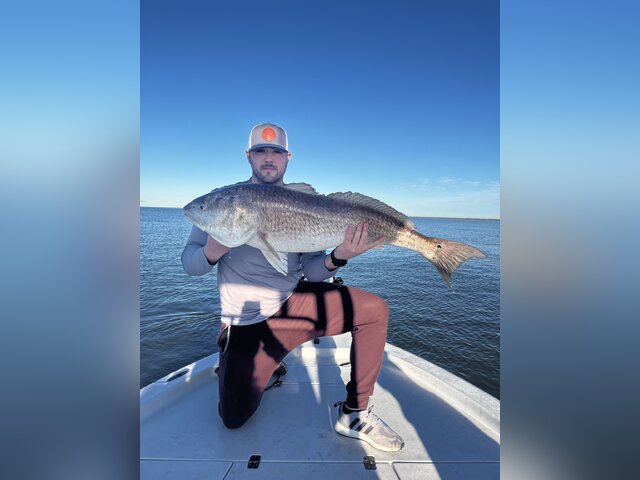 Listing image 655532