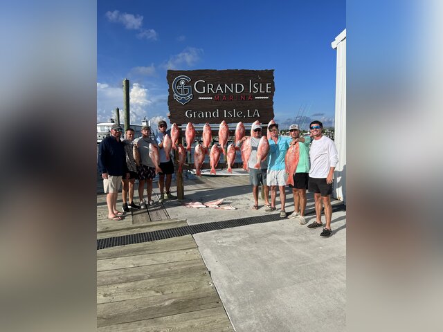 Listing image 1166126