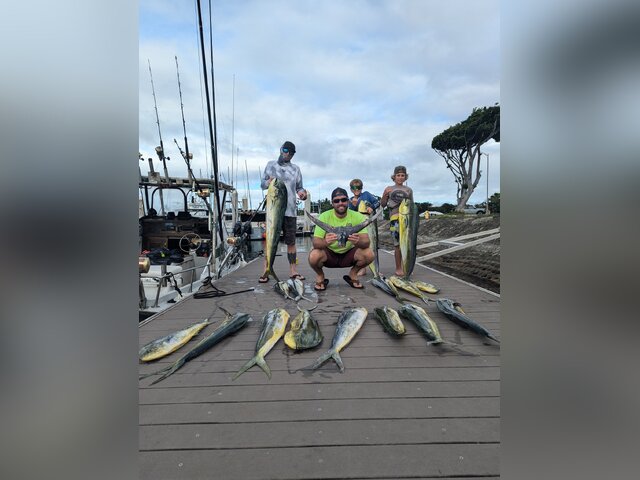 Listing image 1109166