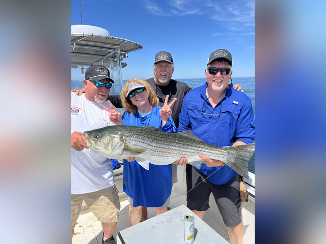 Listing image 836520