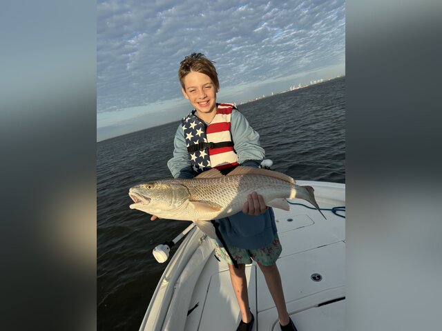 Listing image 1287603