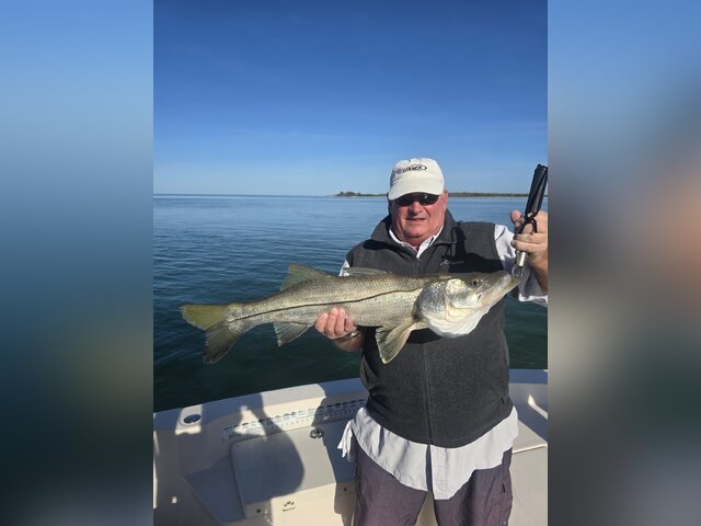 Listing image 1142805