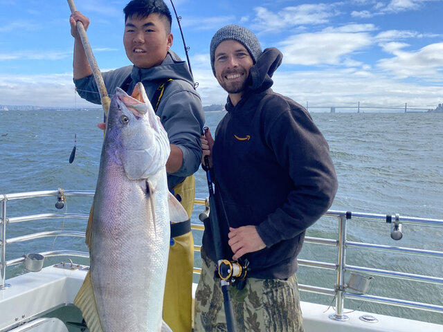 Listing image 691027