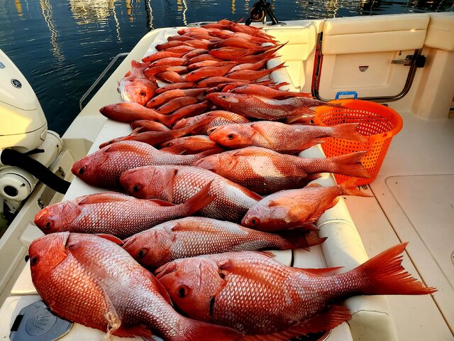 Listing image 650813