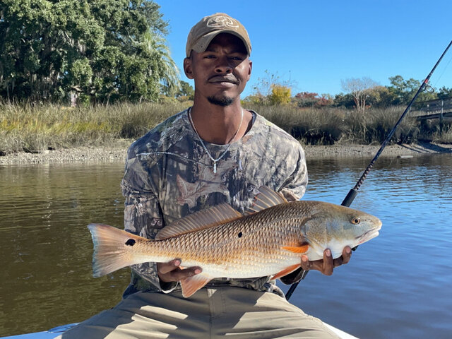 Listing image 672621