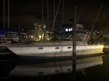 AM Services thumbnail