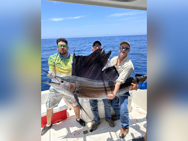 Listing image 889978