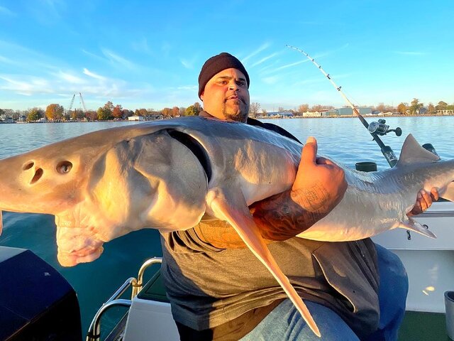 Listing image 885275