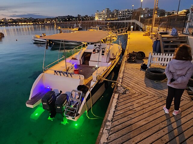 Listing image 1136618