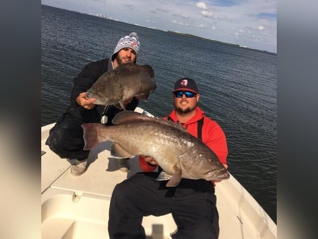 Listing image 654408