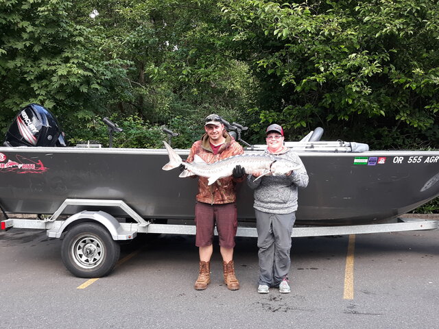 Listing image 654826