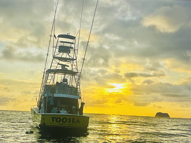 Listing image 656764