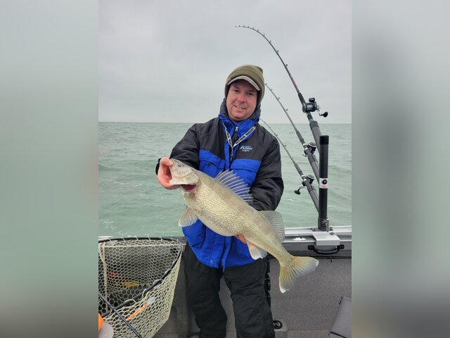 Listing image 803976