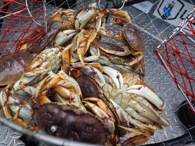 Listing image 657769