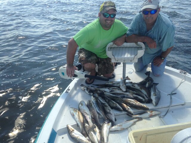 Listing image 665821