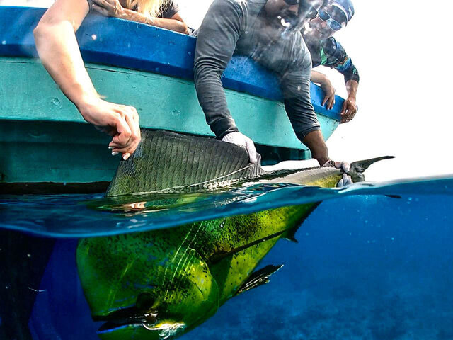 Listing image 669593