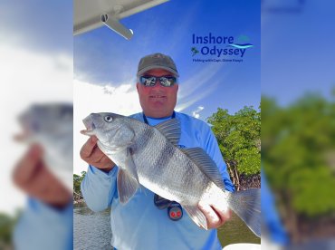 Inshore Odyssey Inshore Fishing thumbnail