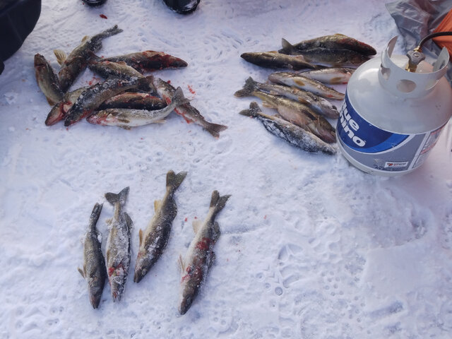 Listing image 669584