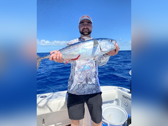 Listing image 664960