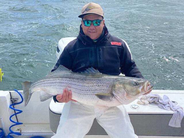 Listing image 675028