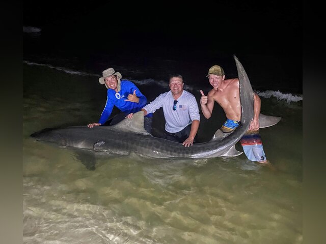 Listing image 663560