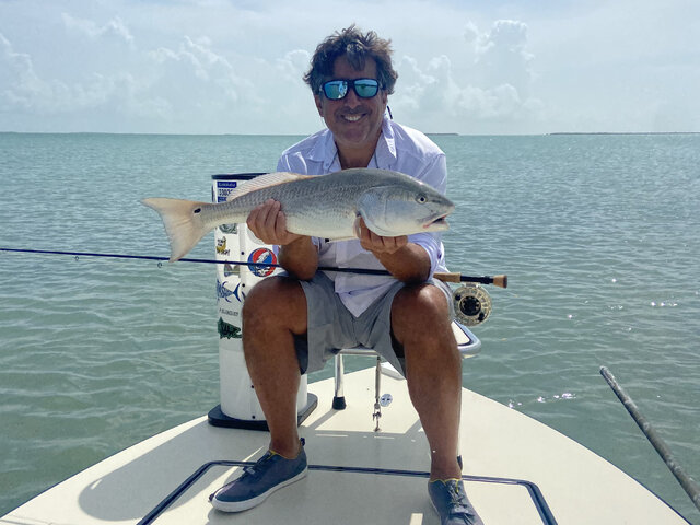 Listing image 701983