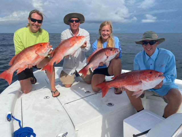 Listing image 678885