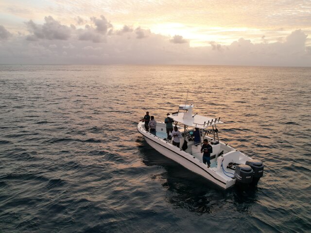 Listing image 934112