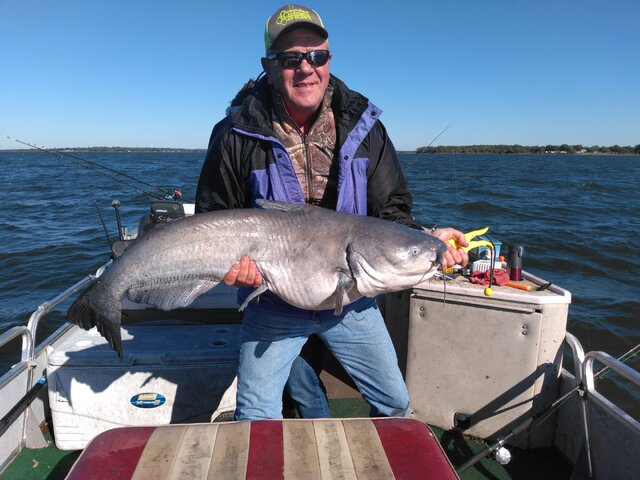 Listing image 872573