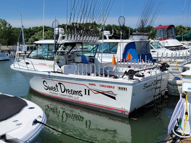 Listing image 765004