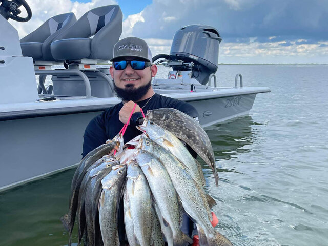 Listing image 678304