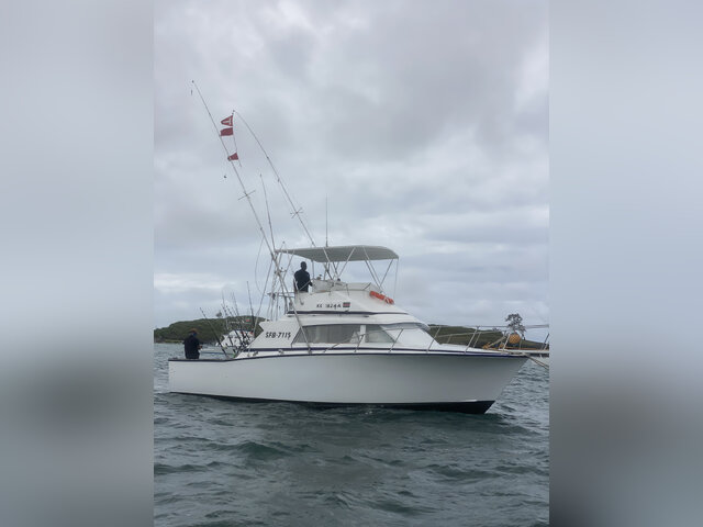 Listing image 1288061