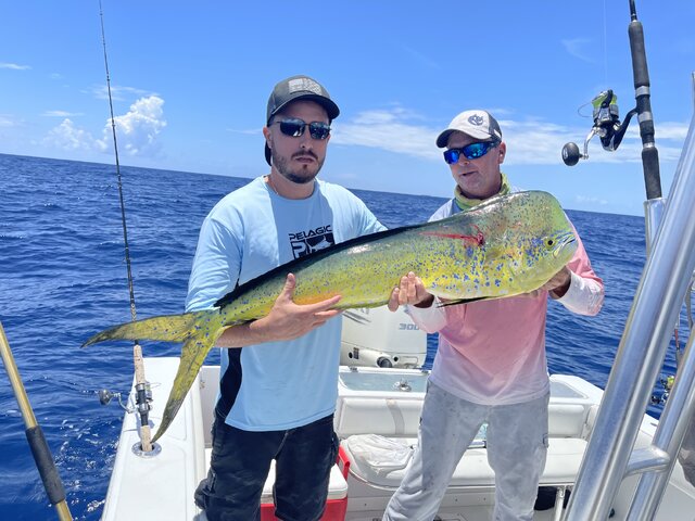 Listing image 669745