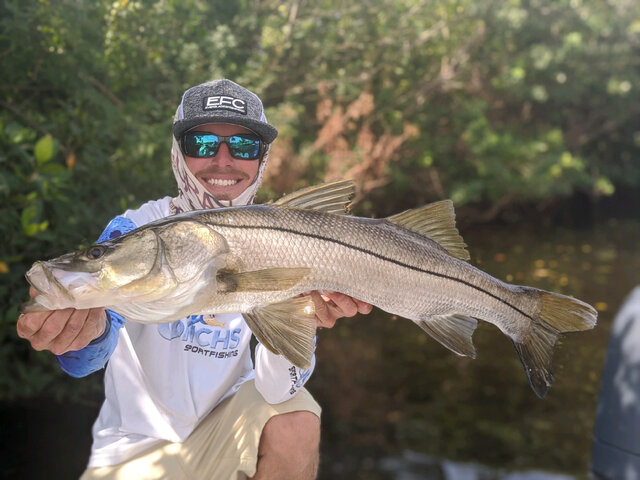 Listing image 678761