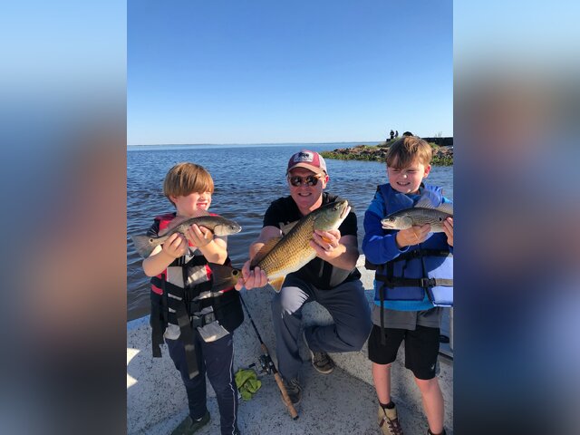 Listing image 846988