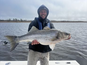 Elysian Charters thumbnail