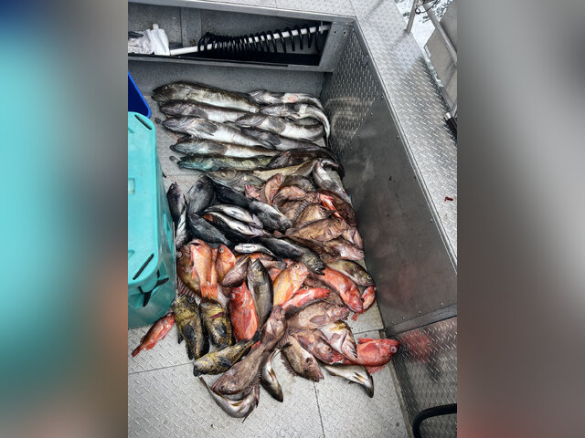 Listing image 1202999