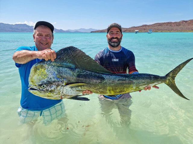 Listing image 763249