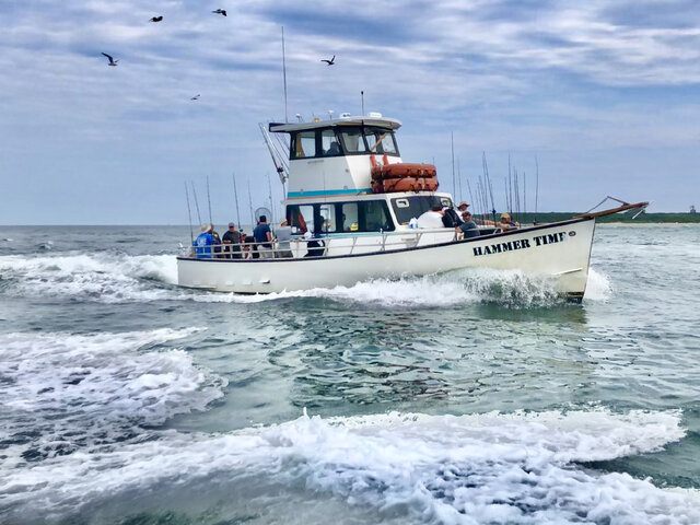 Listing image 691065