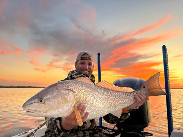 Listing image 849603