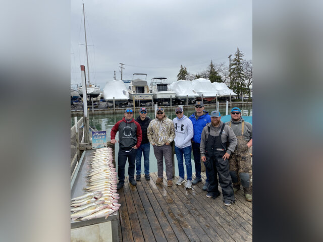 Listing image 820612