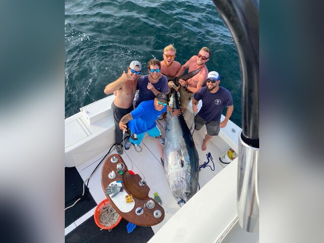 Listing image 775351