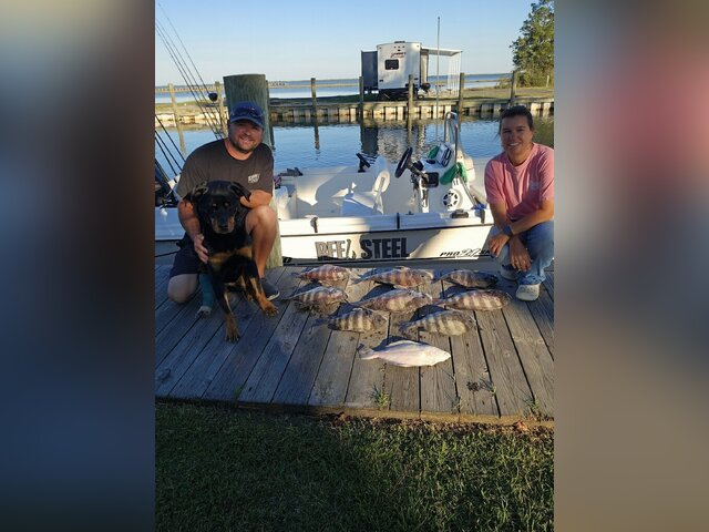 Listing image 931702