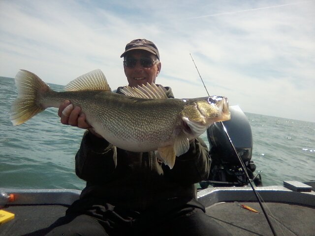 Listing image 678804