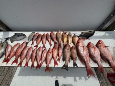 High Flying Saltwater Charters