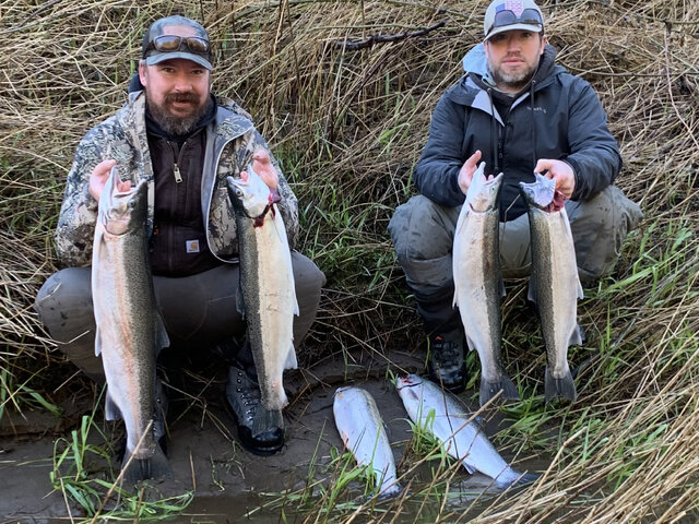 Listing image 704407