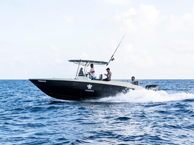 Listing image 746331