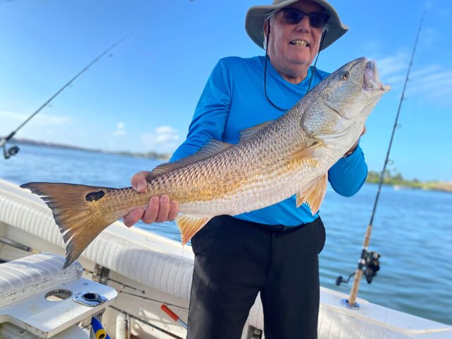 Listing image 681646