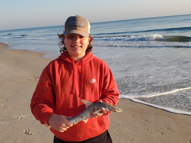 Listing image 681701