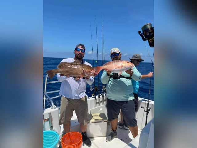 Listing image 684795